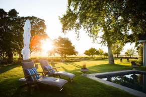 Doran Vineyards
